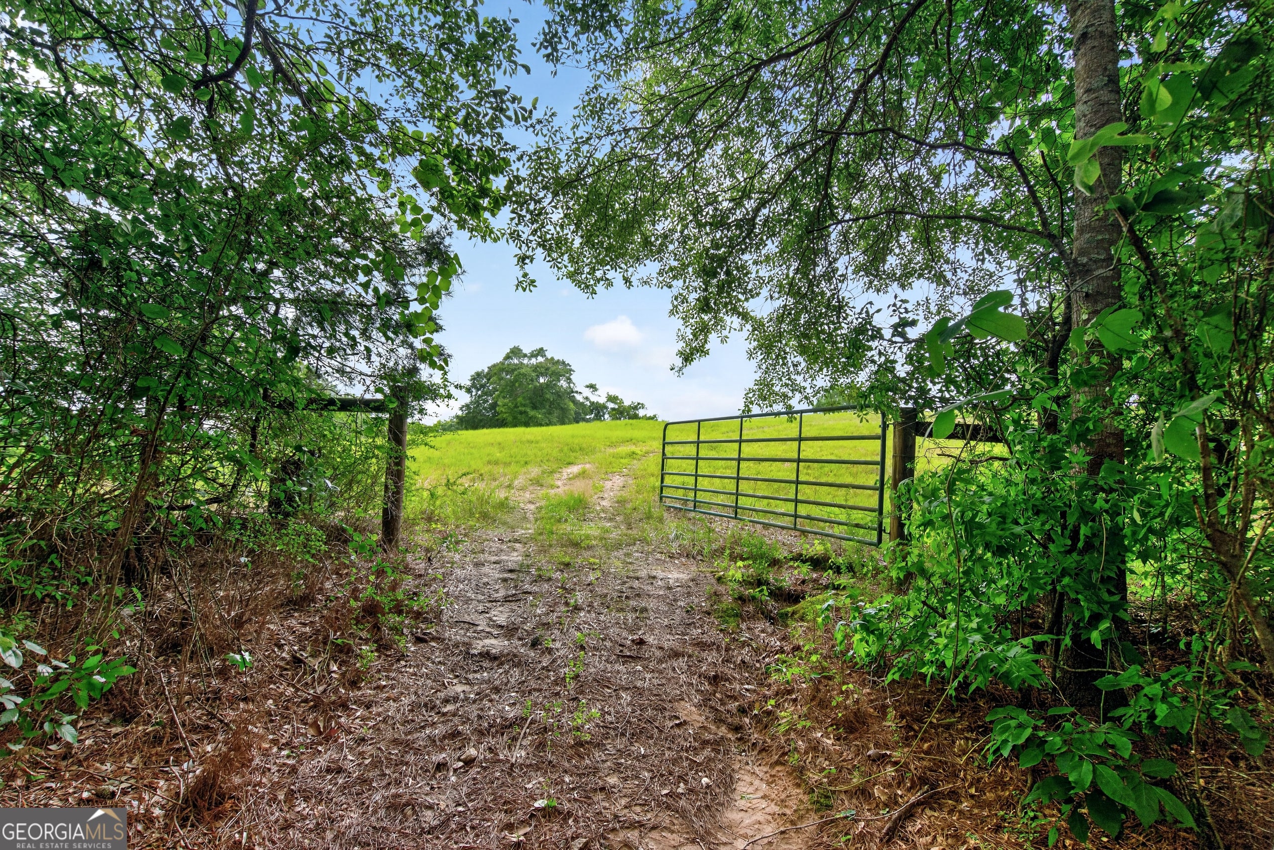 2302 County Road 297, Five Points, AL, 36855, USA, 4 Bedrooms Bedrooms, ,5 BathroomsBathrooms,Residential,Active,2302 County Road 297,10787782