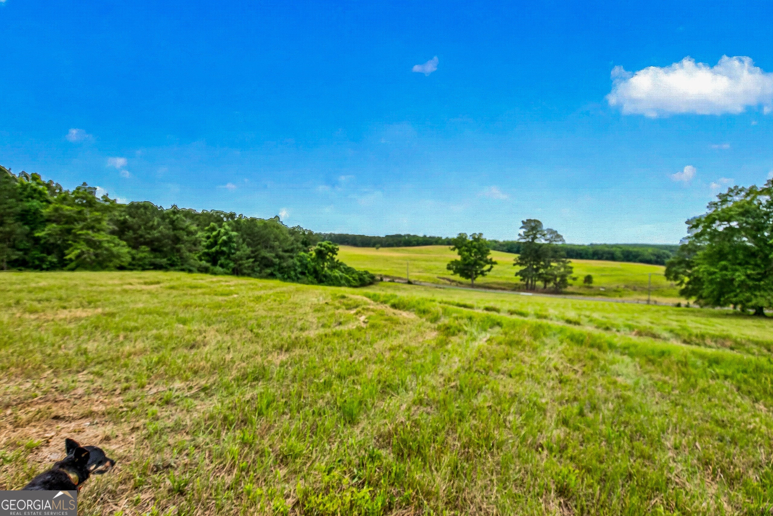 2302 County Road 297, Five Points, AL, 36855, USA, 4 Bedrooms Bedrooms, ,5 BathroomsBathrooms,Residential,Active,2302 County Road 297,10787782
