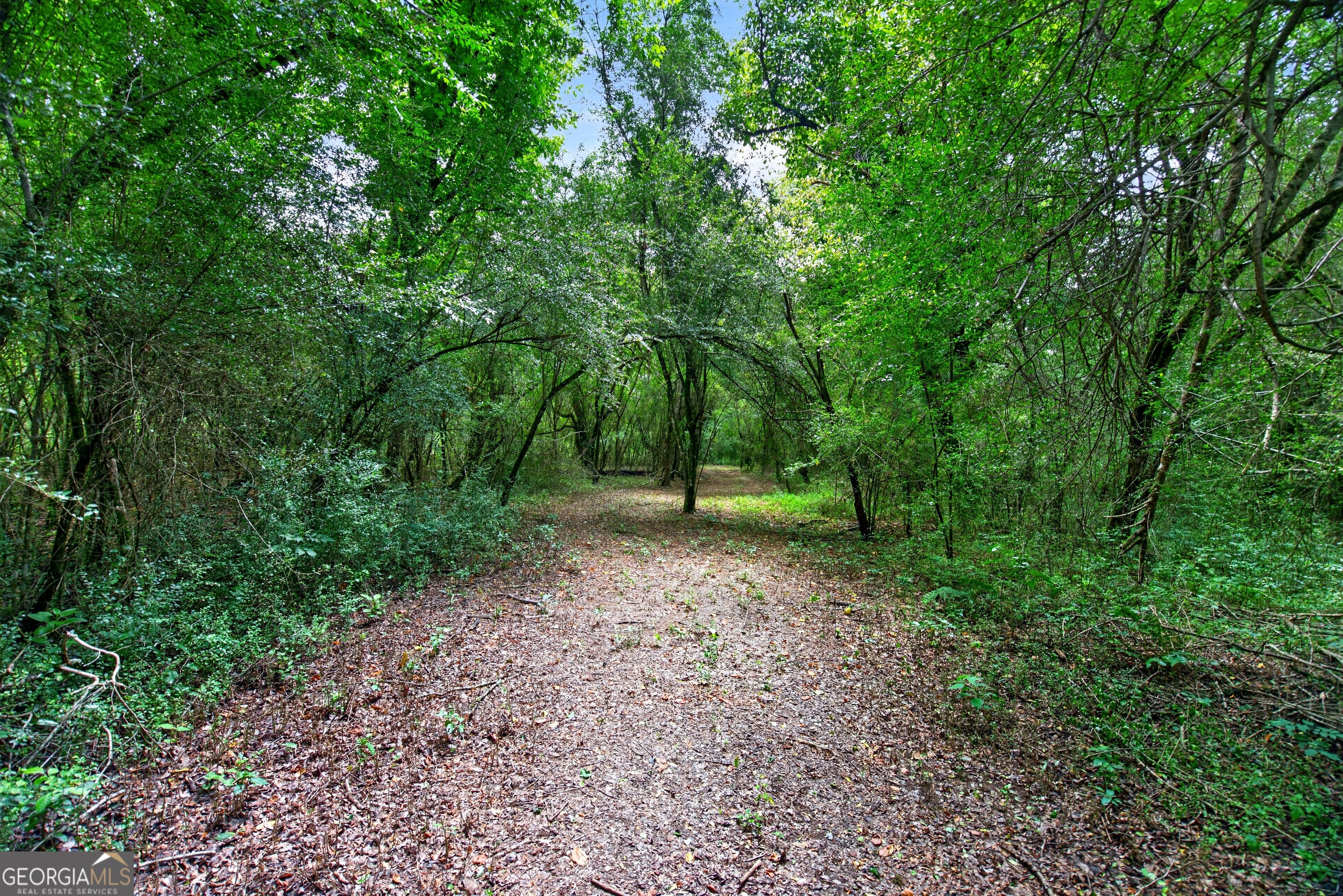 2302 County Road 297, Five Points, AL, 36855, USA, 4 Bedrooms Bedrooms, ,5 BathroomsBathrooms,Residential,Active,2302 County Road 297,10787782
