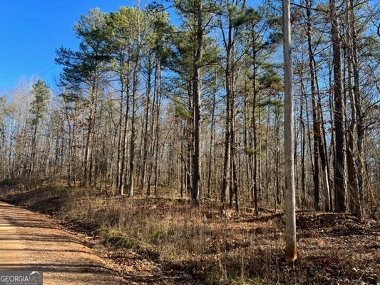 0 CREEK ROAD, ASHLAND, AL 36251 - Image fb1d4205d2ef929f7bc174e4aae5d2d9/1881656063