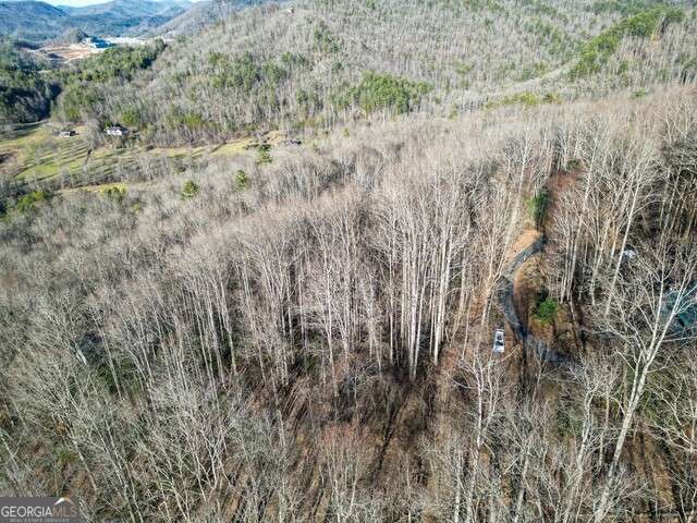 0 Chestnut Mountain DR