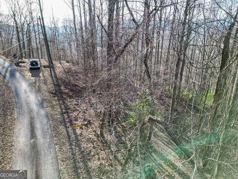 0 Chestnut Mountain DR Rabun Gap GA 30568