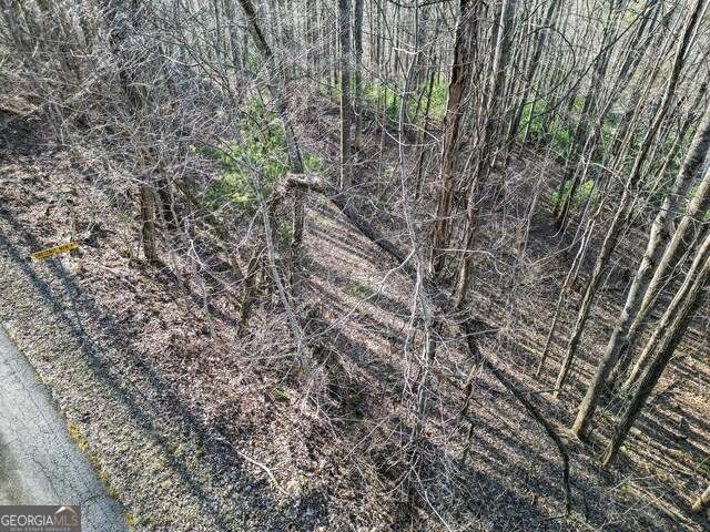 0 Chestnut Mountain DR