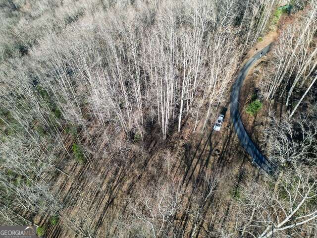 0 Chestnut Mountain DR