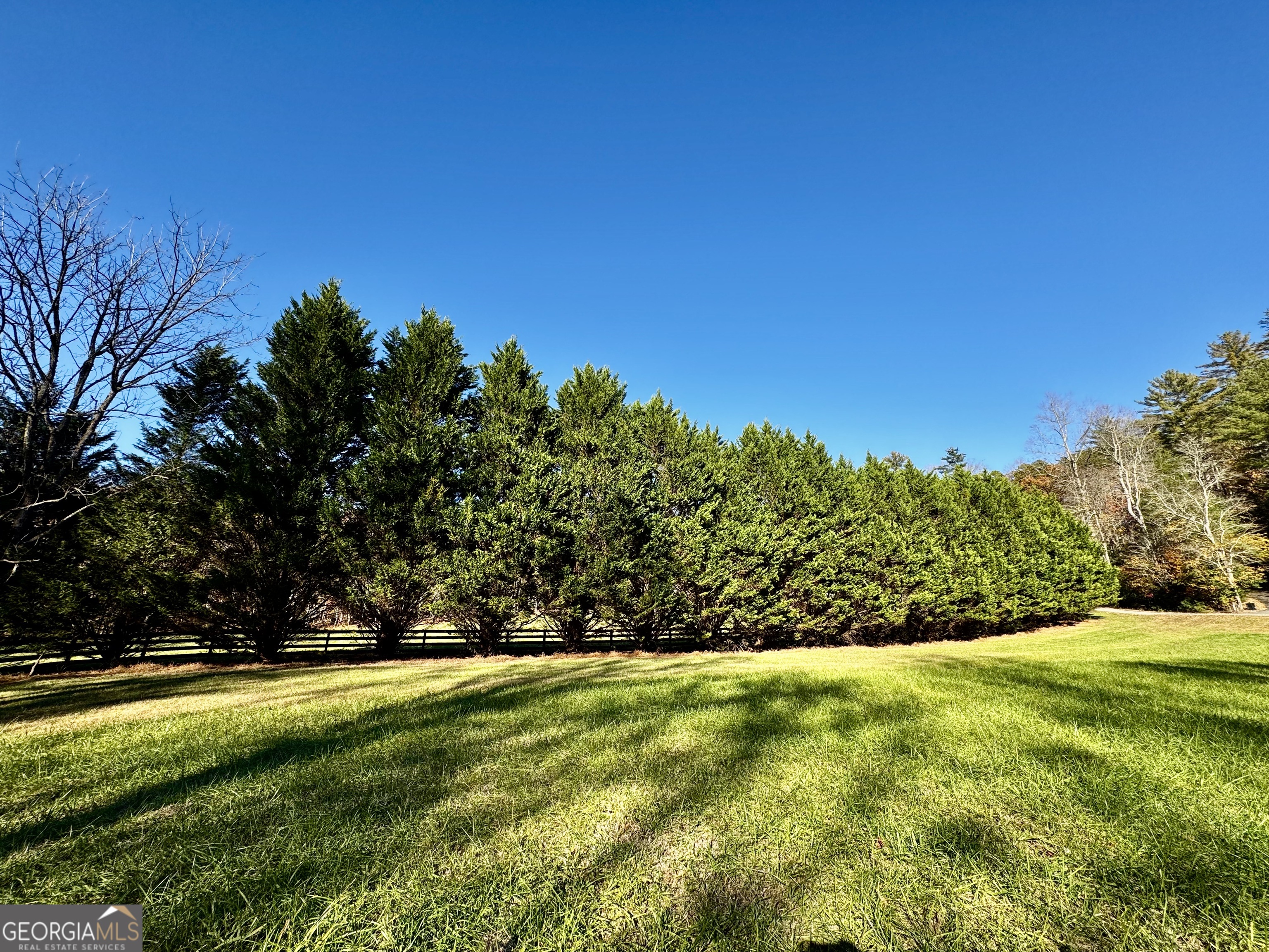 687 Nimblewill Creek RD