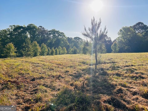 Photo for 0 Collier RD TRACT 1