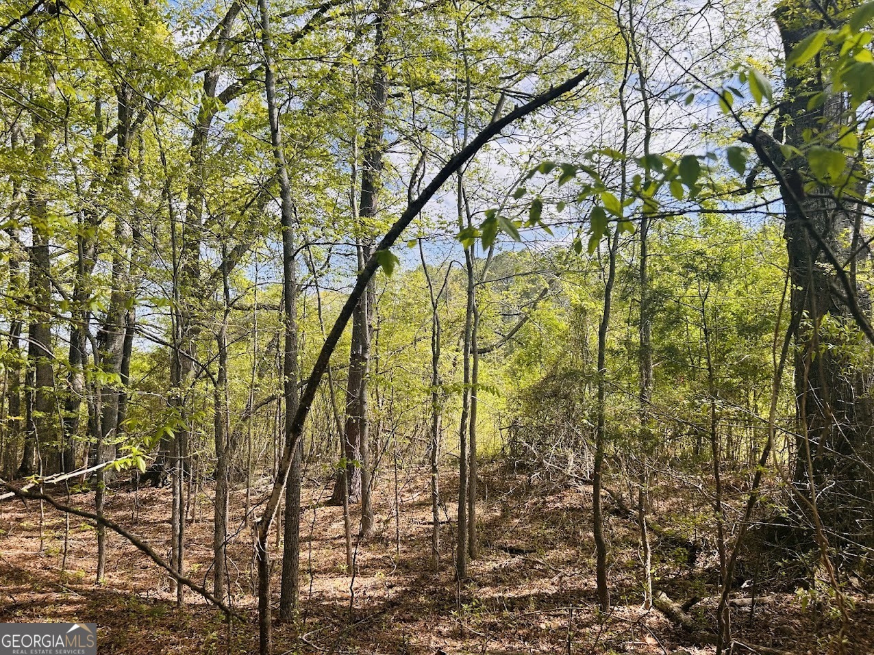 0 Collier Road TRACT 1