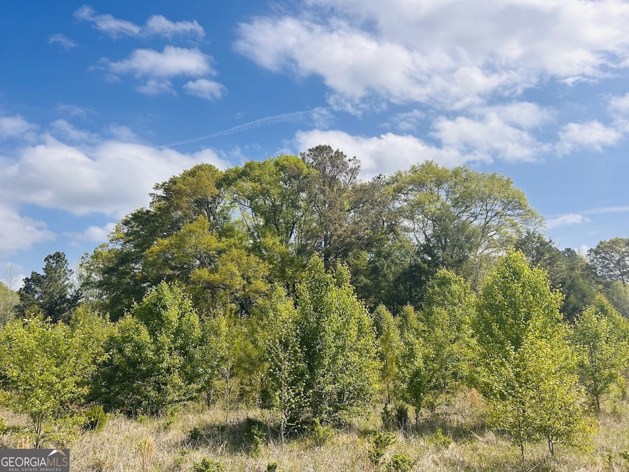 0 Collier Road TRACT 1