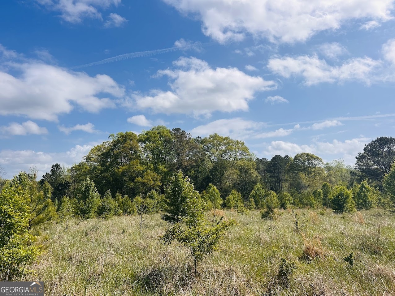 0 Collier Road TRACT 1