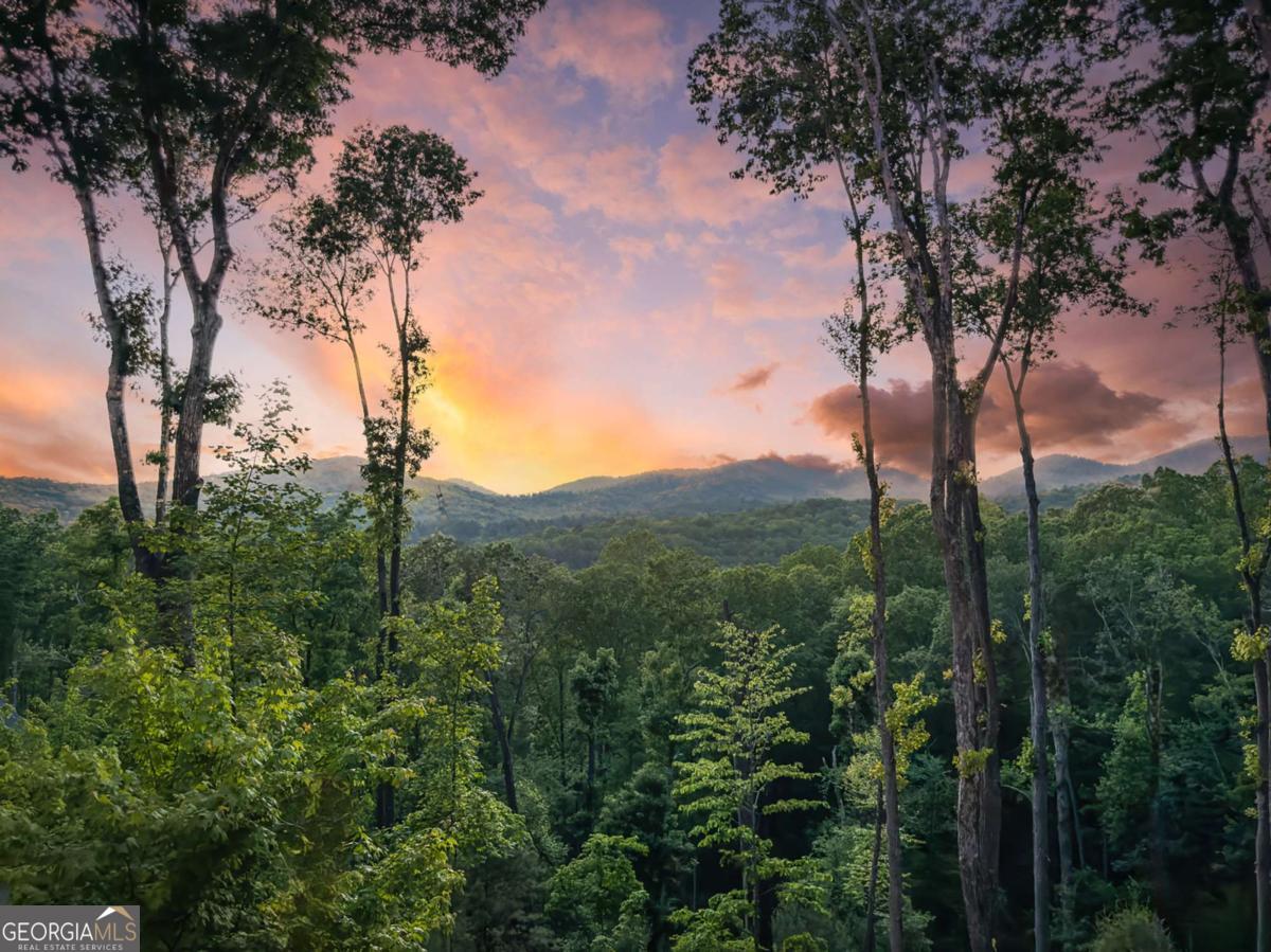 245 Mountain Retreat DR