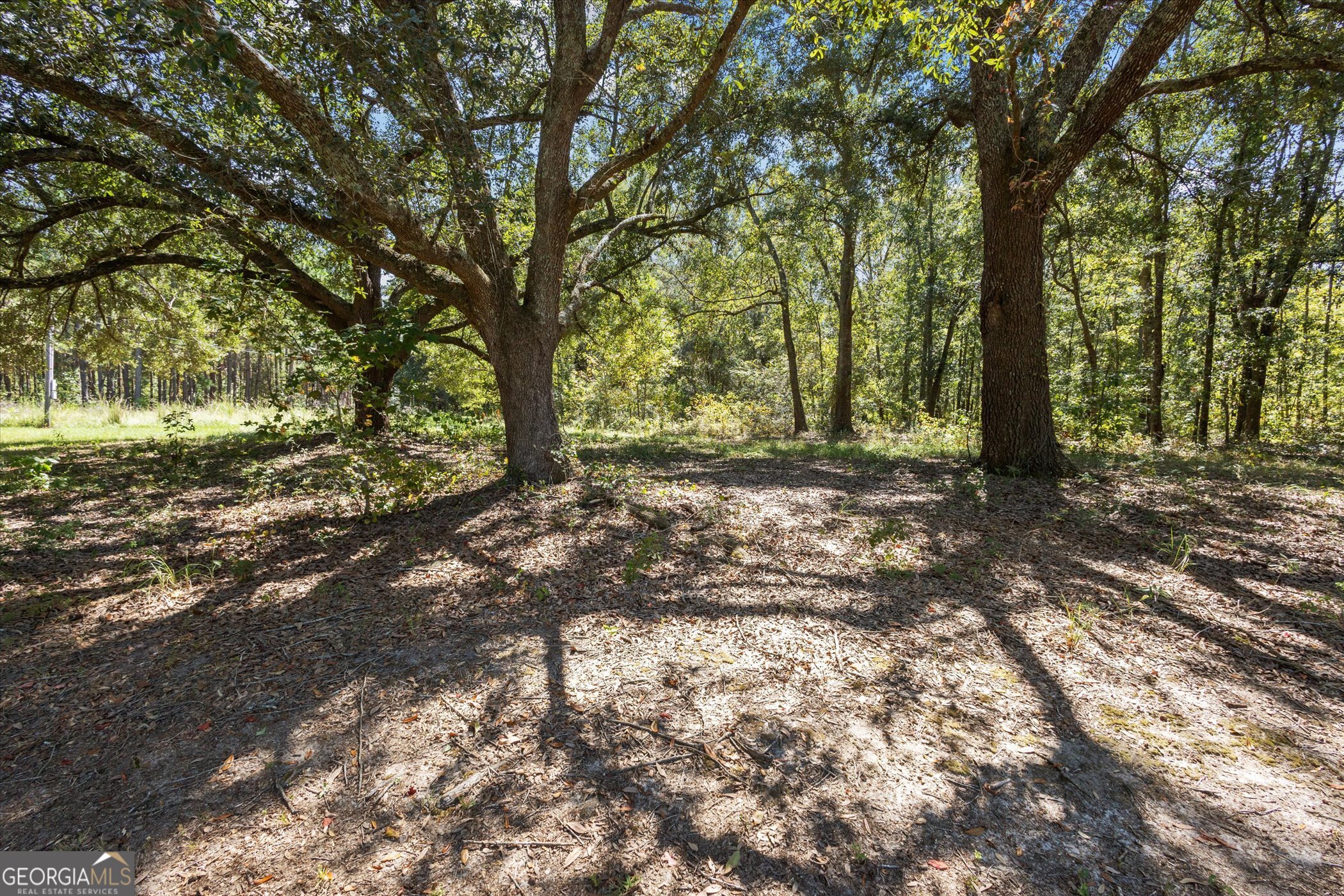 Statesboro, Georgia 30458, United States, 2 Bedrooms Bedrooms, ,2 BathroomsBathrooms,Residential,Active,225785