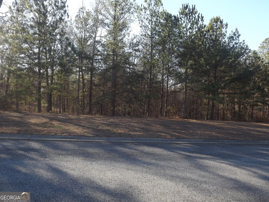 Photo of 10 Sunset Loop, Cedartown, GA 30125 (MLS # 10663751)