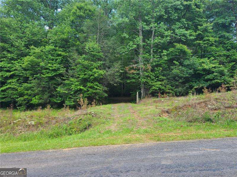Are you looking to build your dream home with year round mountain views and/or pasture views in the heart of the North Georgia Mountains? Here's YOUR chance!! This stunning 1.56 acre piece of property could be yours! This property boasts hardwoods all around giving you the option of living within the tress and enjoying natures natual canopy or clearing them out to make room for your pristine yard with lush grass! This beautiful lot not only has mountain views year round there is also access to spring water! Did I mention there is no HOA? This parcel was once apart of a larger tract that was family owned for 200 years which means you're going to be surrounded by other larger tracts of land keeping privacy and small town feel a staple in this area. While you are deep into the N GA mountains you'll find you're still very convenient to downtown Ellijay, HWY 515, Blue Ridge, shopping, restaurants, and all the apple orchards you could ever want to visit! Many would argue Big Creek Road is one of the prettiest roads to travel in all of Ellijay and it certainly makes an incredible place to build your forever home, your vacation home, your income producing property, or even your first home! This magical piece of property is just waiting for a new last name! Let's schedule your tour today!