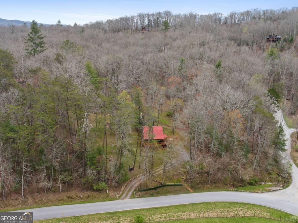 541 Black Ankle Creek RD