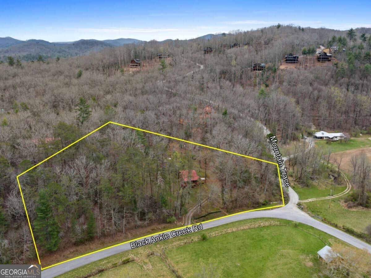 541 Black Ankle Creek RD