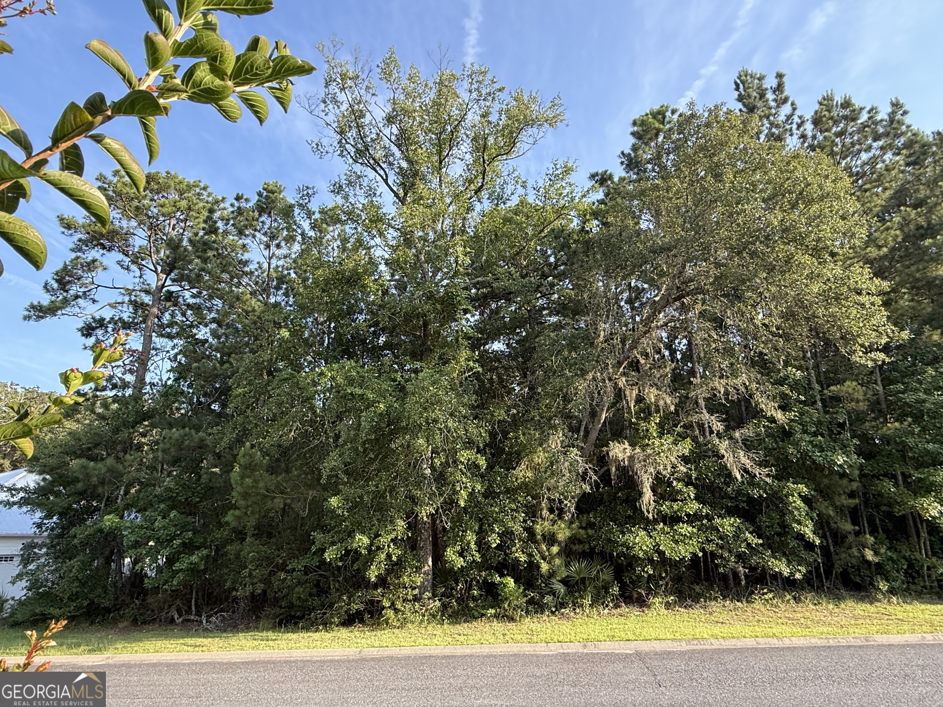 LOT 143 Canopy LN