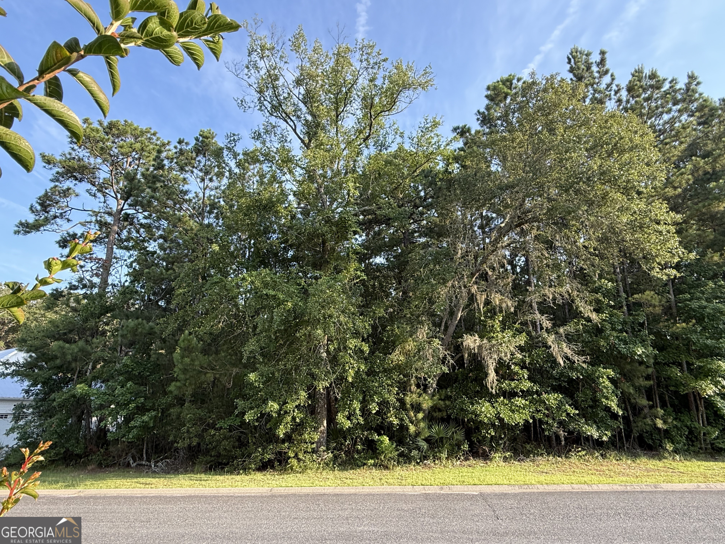 LOT 143 Canopy LN