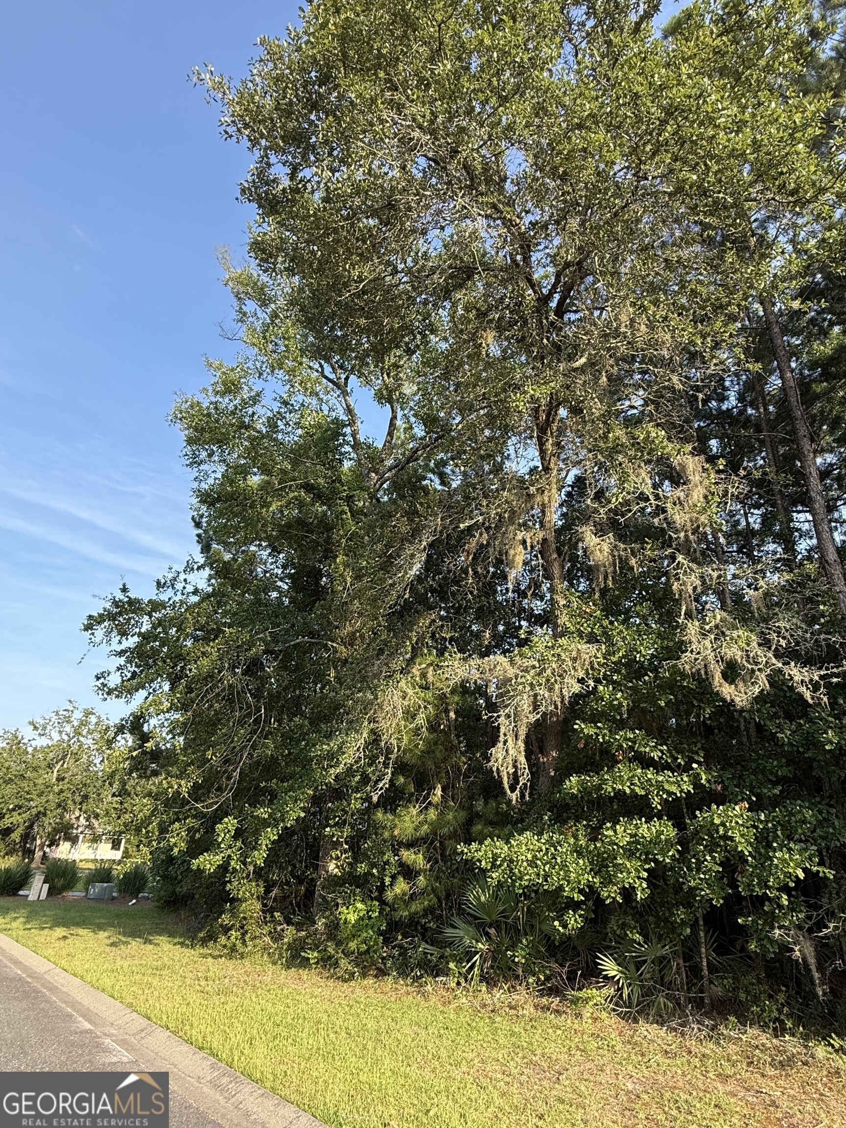 LOT 143 Canopy LN