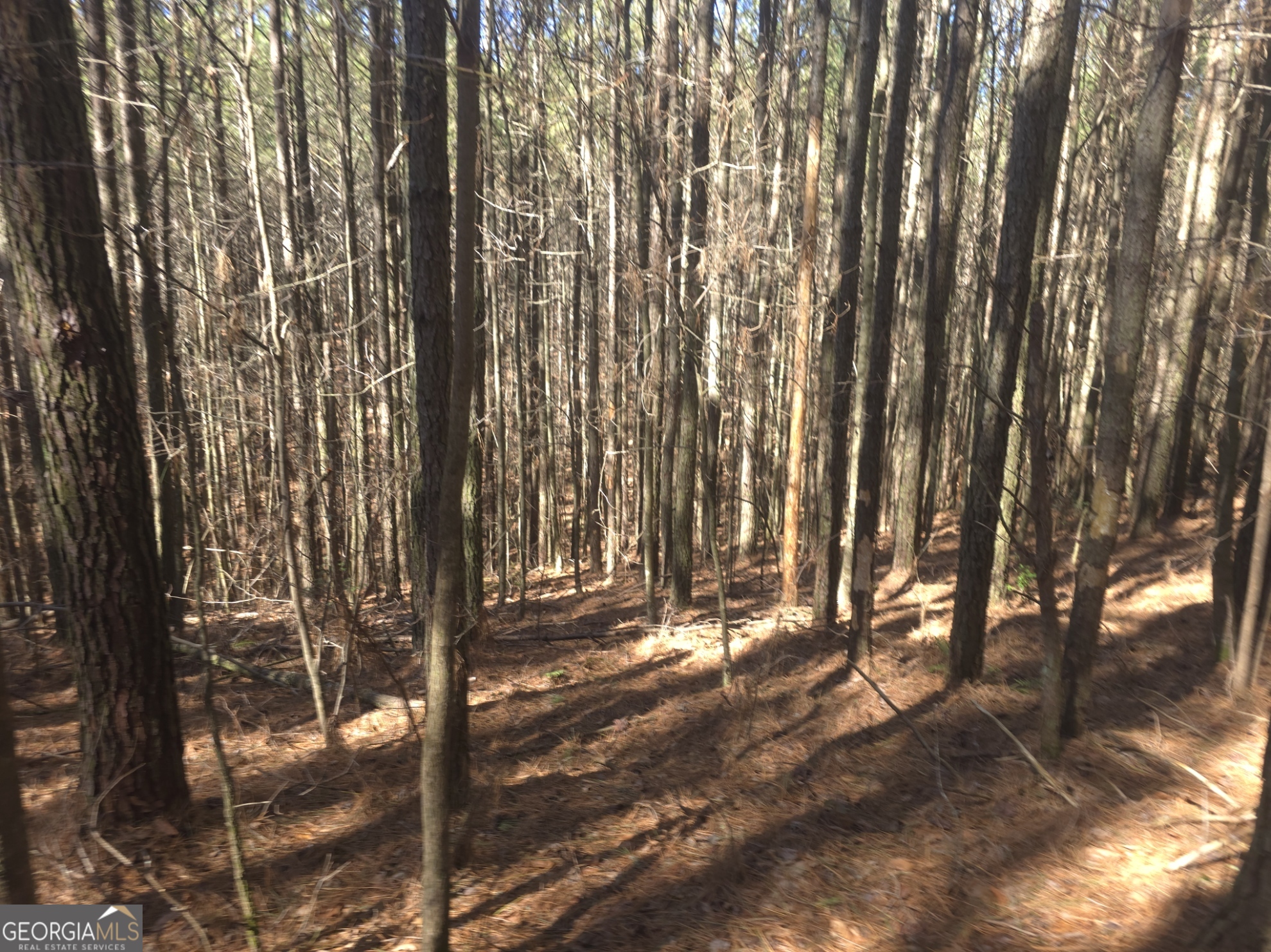 LOT #286 Oak Park DR