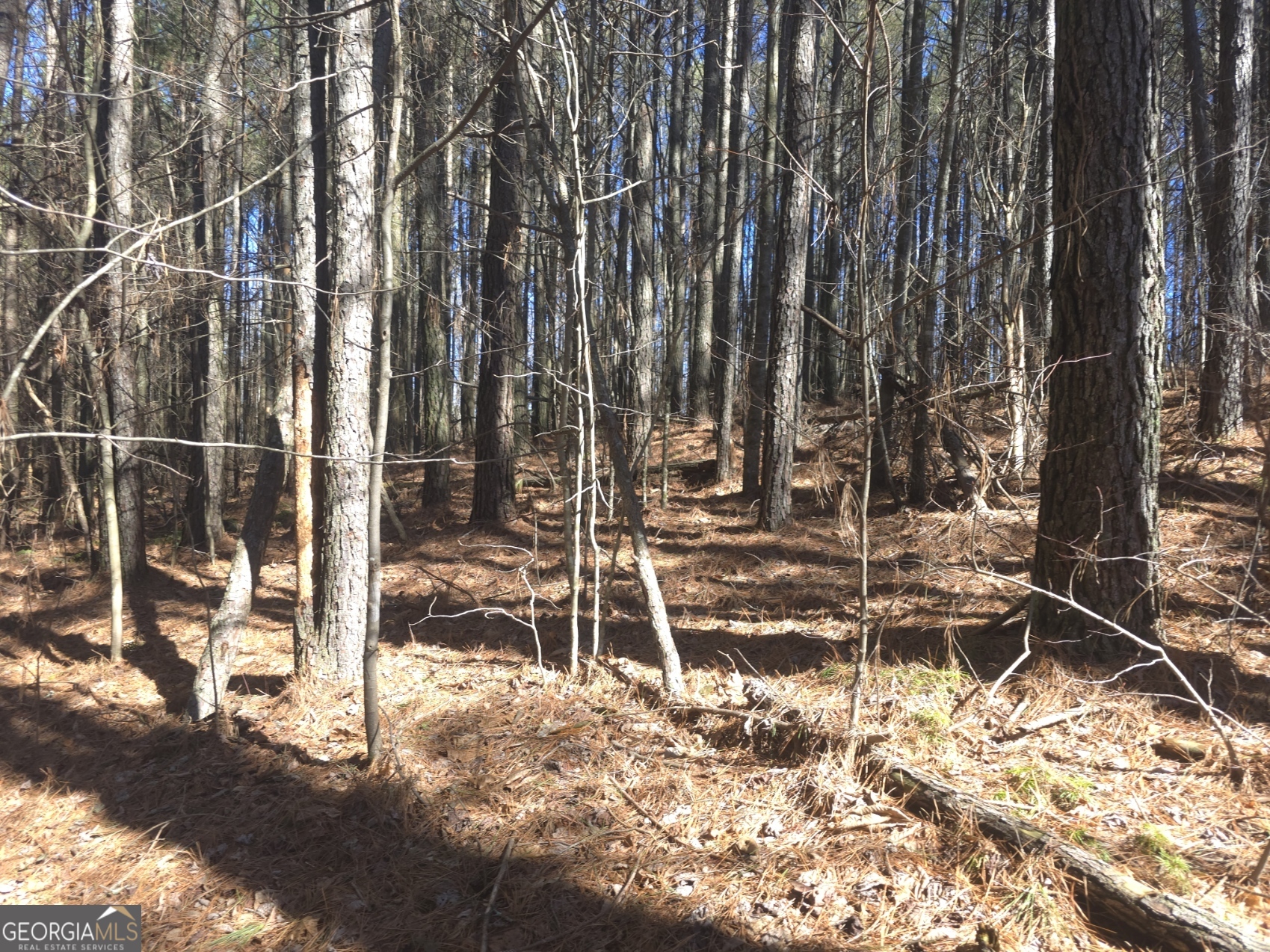 LOT #286 Oak Park DR