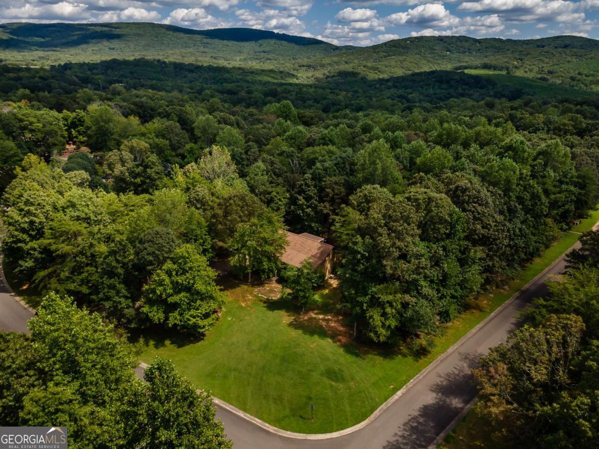 90 Chimney Sweep TRL