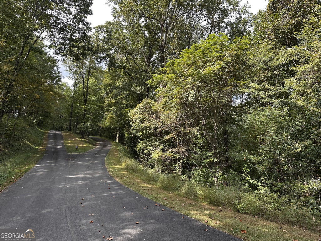 Photo of 7 Mountain Falls Loop, Ellijay, GA 30536 (MLS # 10859859)