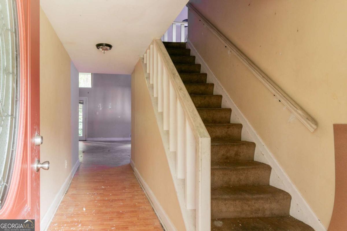 4715 Wildginger RUN