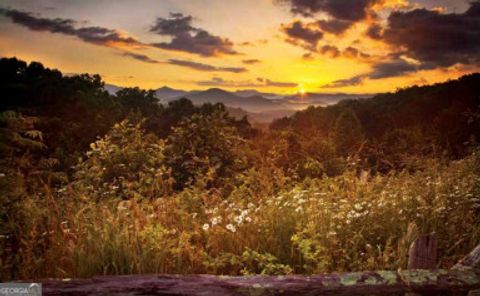 LOT 29 Raven Ridge RD Clayton GA 30525