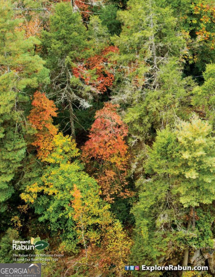 LOT 29 Raven Ridge RD