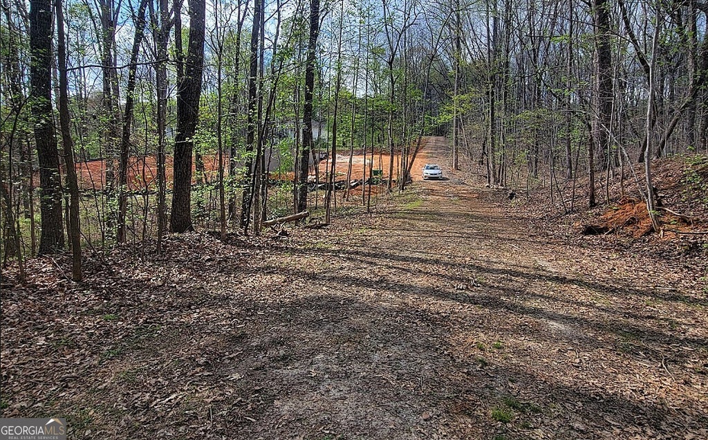 Photo of 4230 Belvedere Drive, Gainesville, GA 30506 (MLS # 10789794)