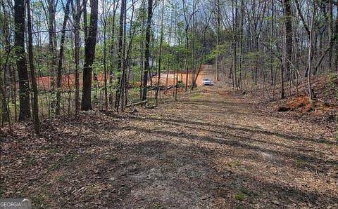 Photo of 4230 Belvedere Drive, Gainesville, GA 30506 (MLS # 10789794)