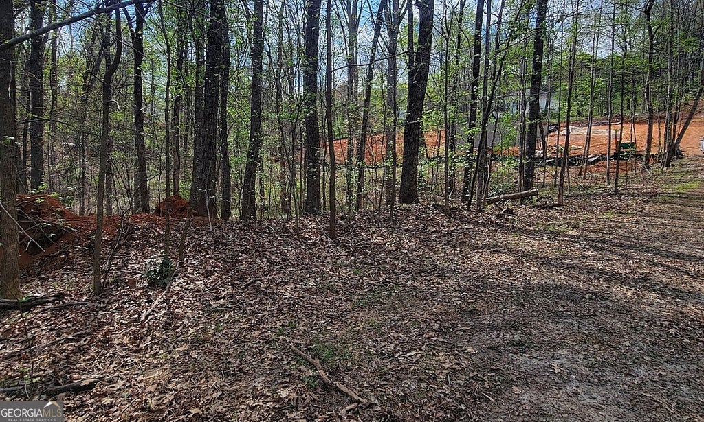 Photo of 4230 Belvedere Drive, Gainesville, GA 30506 (MLS # 10789794)