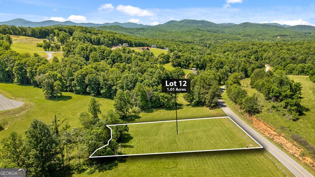 LOT 12 Squirrel Hunting RD