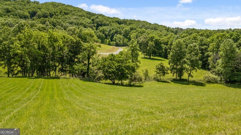 Photo of 12 Squirrel Hunting Road, Morganton, GA 30560 (MLS # 10850169)