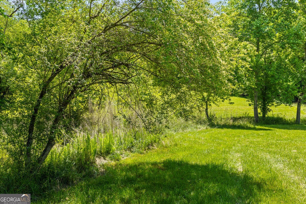 LOT 12 Squirrel Hunting RD