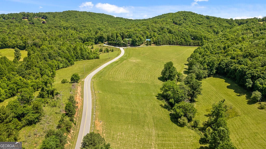 LOT 12 Squirrel Hunting RD
