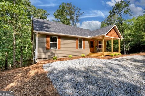 388 Carlisle DR 2975 Ellijay GA 30540