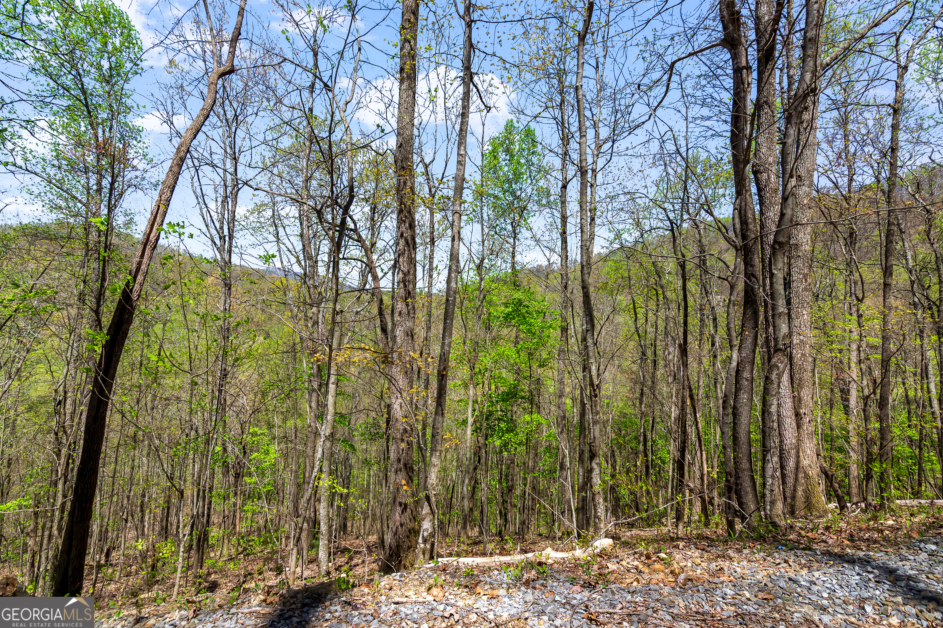 Set your GPS to 71 Hidden Valley Drive South, Ellijay, GA 30536 using Apple or Google Maps. Once you arrive, continue driving past this home (which will be on your left) and stay straight on Hidden Valley Drive South. The property begins at the entrance road before 71 Hidden Valley Drive South and extends to the end of the cul-de-sac on the left, where you'll see signage and the Moose Mountain Gate. Discover 29 acres of breathtaking mountain views in the highly sought-after area of Ellijay,Parcel #3418 008A (29 acres, zoned A1). This stunning mountain retreat features layered panoramic views in every direction and multiple cleared, flat building sites-perfect for full-time living or part-time living! (long term rentals and short-term rentals are not allowed). The property sits between 2 roads to access the property, both with gates, The first entrance is a private gated entrance on a concrete driveway at the beginning of the property (Shared with 71 Hidden Valley Drive), and the 2nd driveway is on the right side of the property that is gravel and it goes all the way up to the top of the property with the Moose Mountain Gate-making it easy to reach the top of the property. Several ideal building sites are already cleared and marked on the parcel map (available in photos and docs on listing), including one at the very top for the best views, one midway up on the left, one on the right incline, which includes 1-2 more potential homesites. This property comes with great cell service, power at the road, and 1,000 Mbps ETC fiber internet scheduled for installation in June 2025. Just add a well and septic to begin building your dream retreat. The land is accessed through the Hidden Valley Subdivision gate. Covenants are in place for community quality, and the land is marked with "No Trespassing" signs along the boundaries to keep land private. The property also features marked hiking trails, ATV access roads (noted by white paper markings), and extensive grading for proper drainage throughout. A concrete driveway easement and full property survey are already on file, making this property ready for your vision. Conveniently located just 25 minutes from Walmart and 15 minutes from Dollar General, this mountain oasis offers unmatched privacy with easy access to town. Don't miss this rare opportunity to own prime acreage with endless potential in the heart of North Georgia's Blue Ridge Mountains.