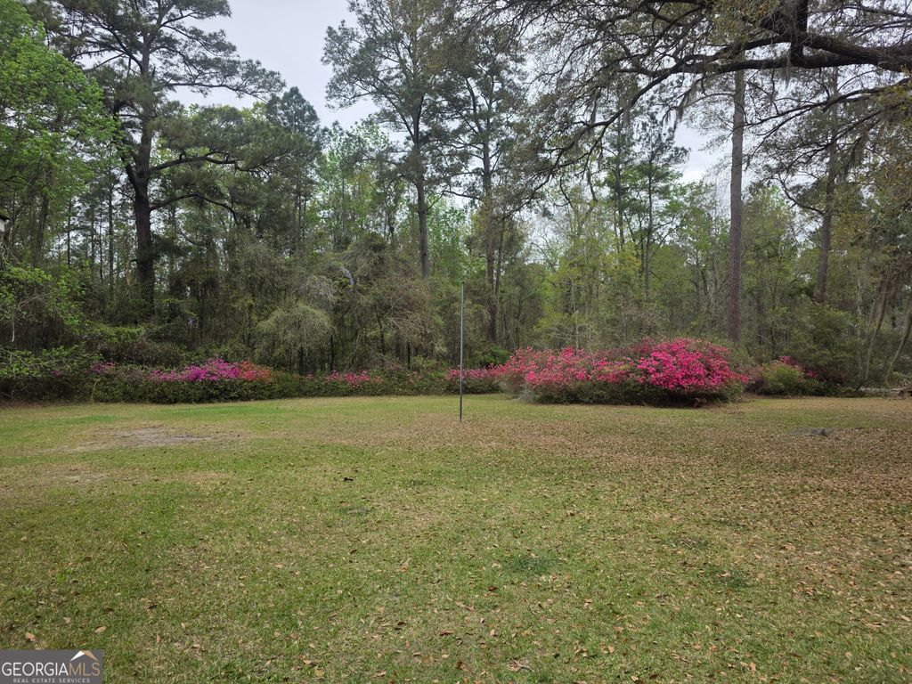 Photo of 583 Mill Pond Road, Rincon, GA 31326 (MLS # 10716835)