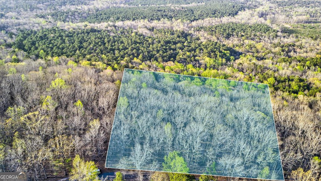 Photo of 909 weeding cherry Drive, Waverly Hall, GA 31831 (MLS # 10725400)