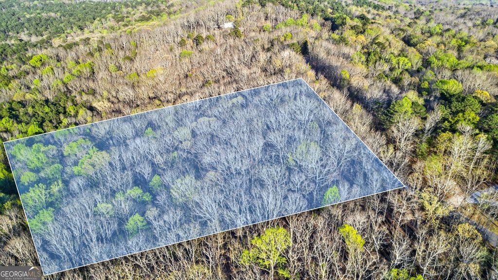 Photo of 909 weeding cherry Drive, Waverly Hall, GA 31831 (MLS # 10725400)