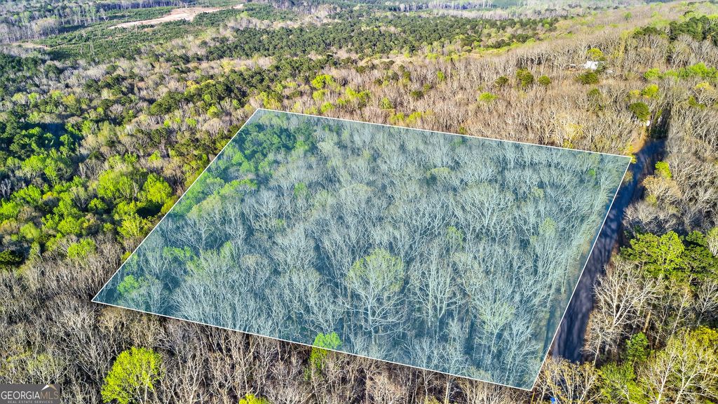 Photo of 909 weeding cherry Drive, Waverly Hall, GA 31831 (MLS # 10725400)