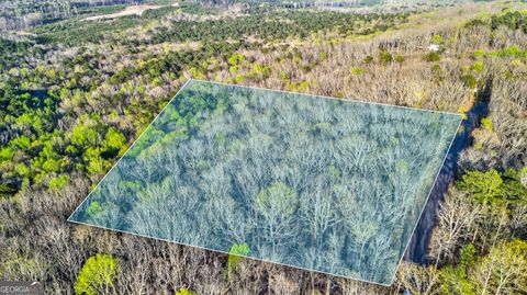 Photo of 909 weeding cherry Drive, Waverly Hall, GA 31831 (MLS # 10725400)