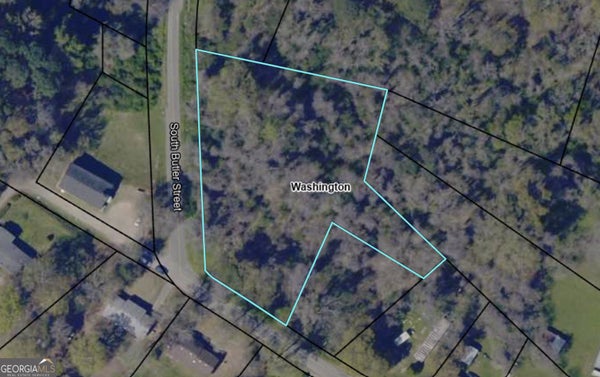 0 ALABAMA STREET, WASHINGTON, GA 30673 - Image fbc9e8f4aa4beb2c31fcd3469625fd56/2633703466