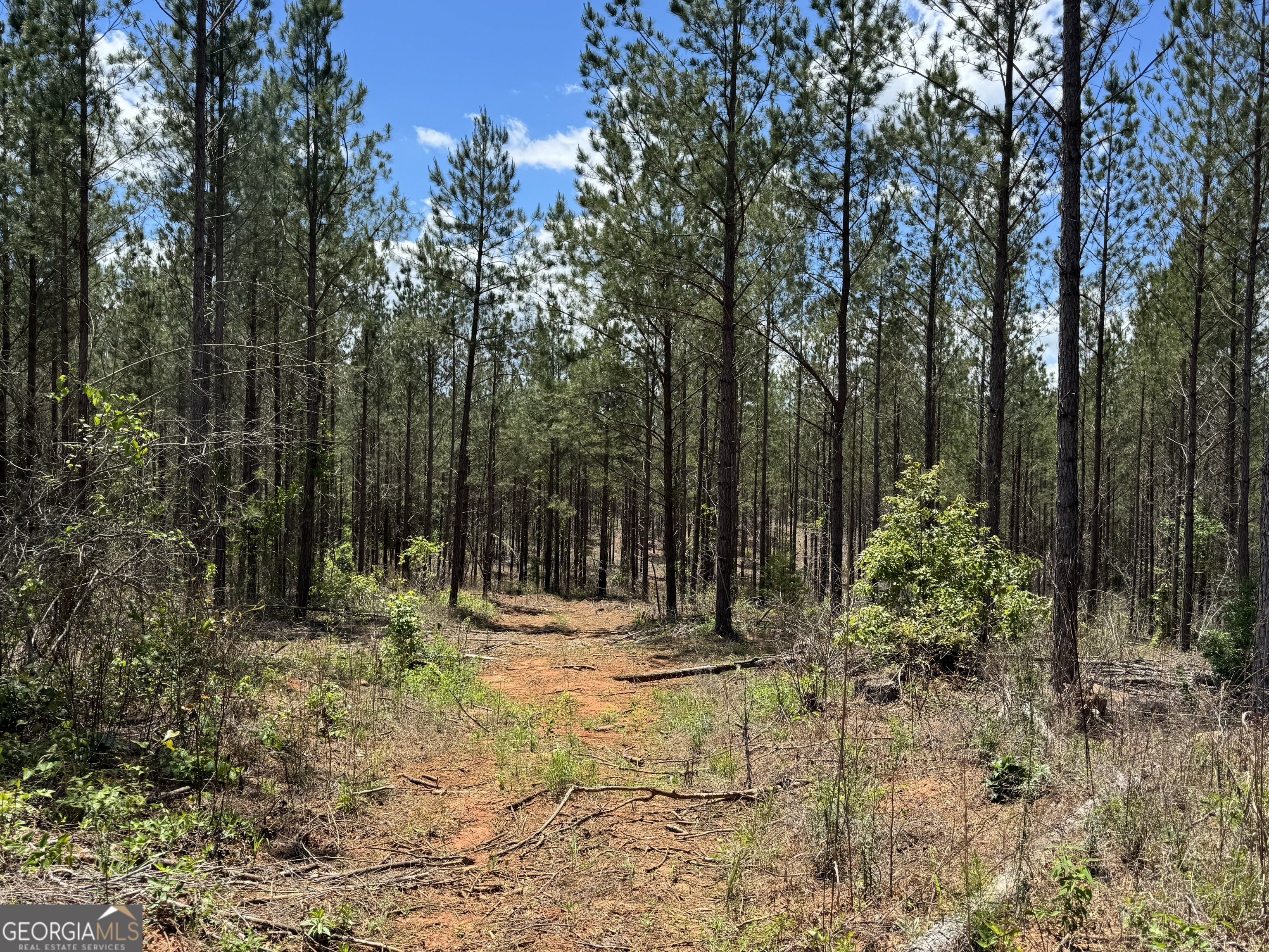 LOT 2 Lipham RD