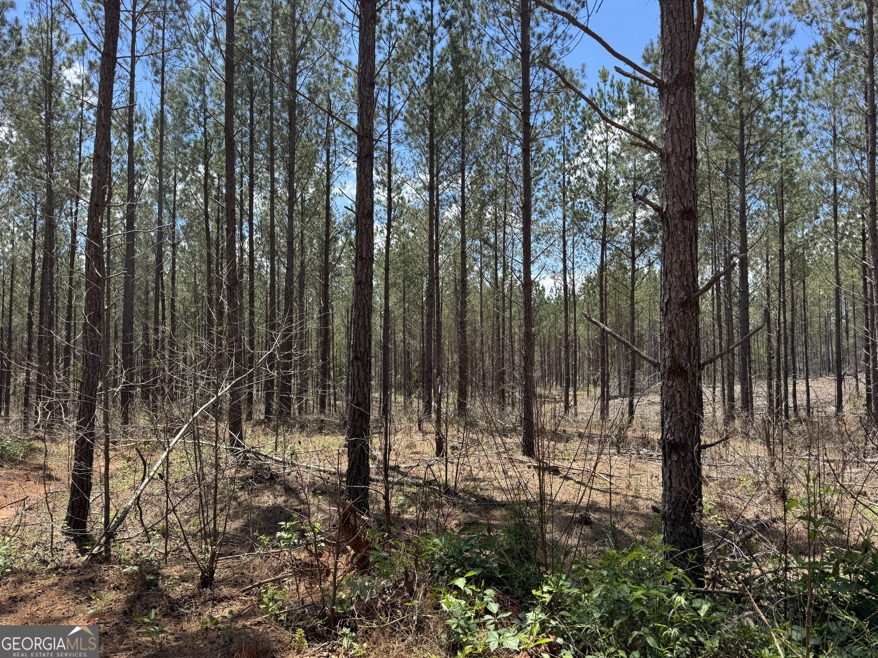 LOT 2 Lipham RD