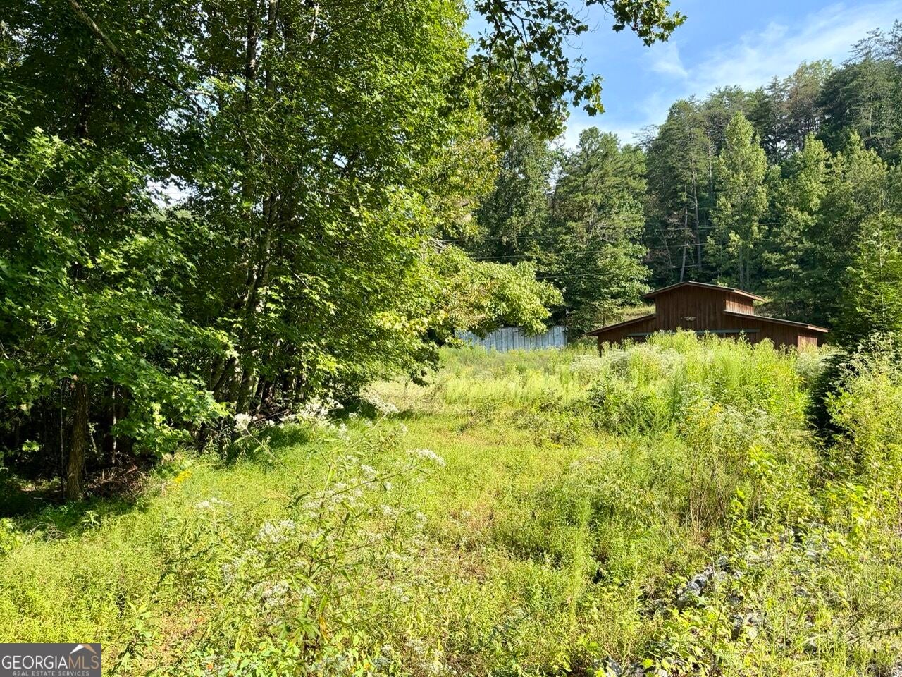 1657 Nimblewill Gap RD