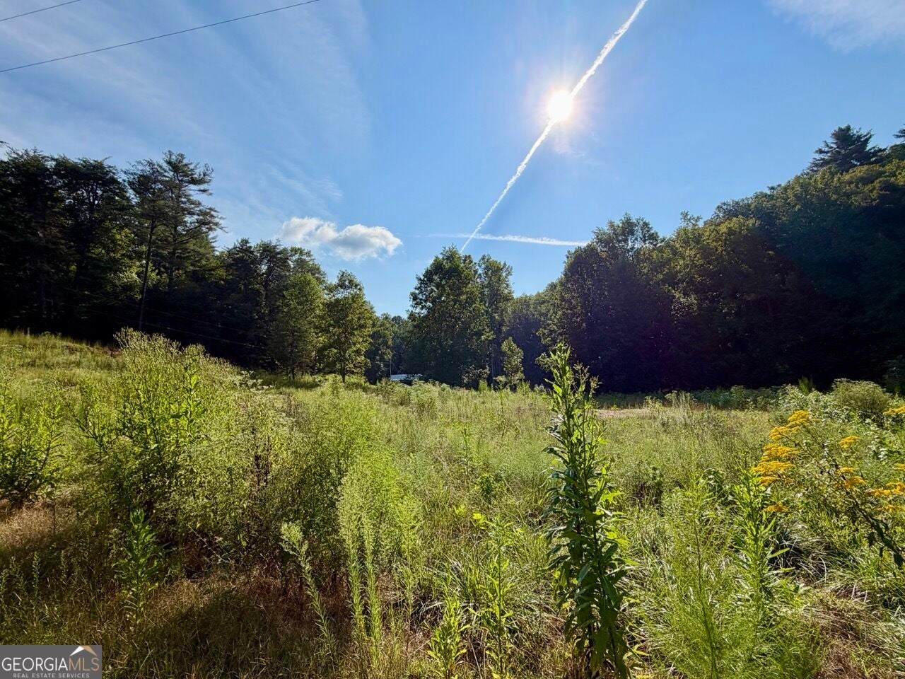 1657 Nimblewill Gap RD