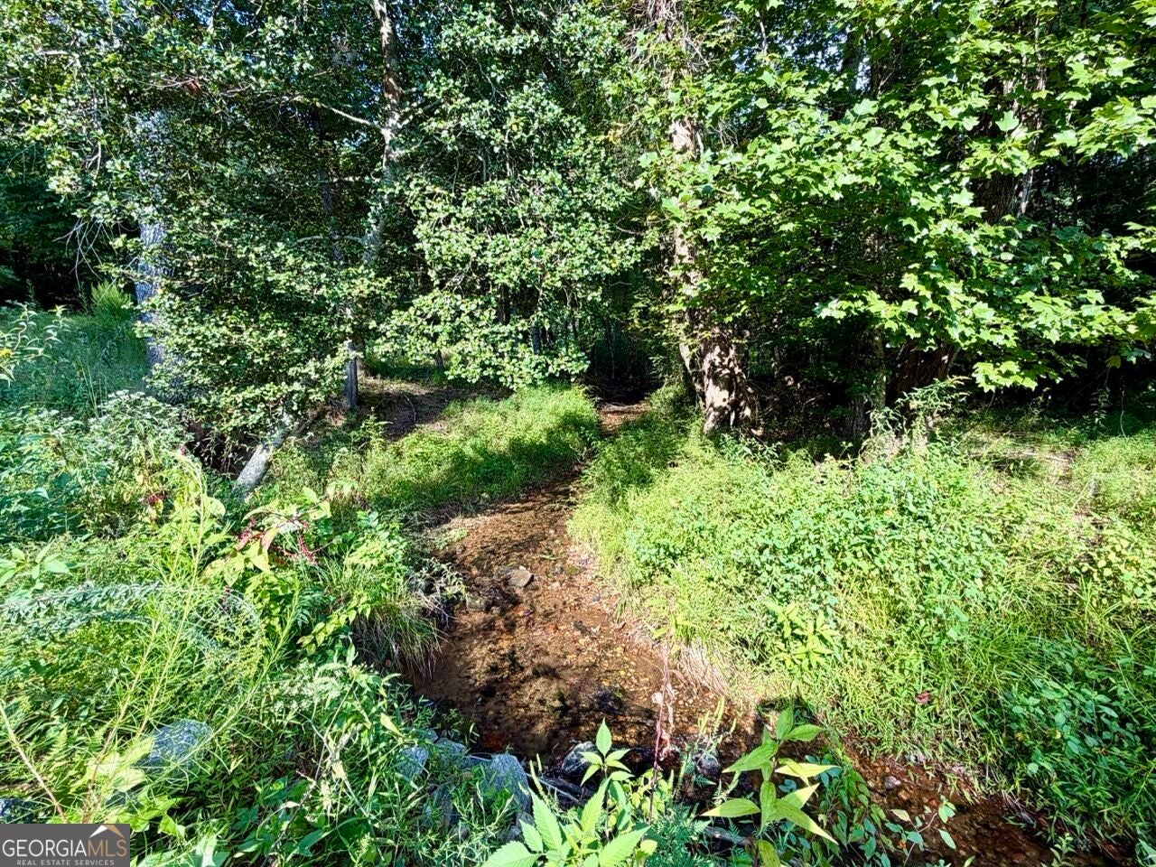 1657 Nimblewill Gap RD