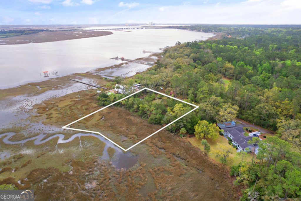 Photo of 180 Turtle River Lane, Brunswick, GA 31523 (MLS # 10732041)